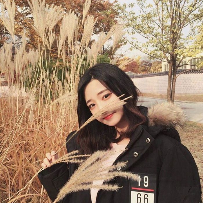 相乐总三（身份：赤报队队长、左之助师父） - 影视解说合集在线观看 - 线上看剧